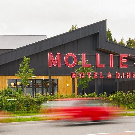 Mollie'S Motel & Diner Bristol Luaran gambar